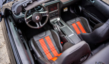 
										FORD Mustang Shelby GT500 SVT full									