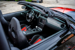 
										FORD Mustang Shelby GT500 SVT full									