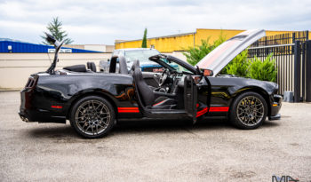 
										FORD Mustang Shelby GT500 SVT full									